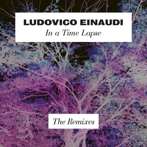 In a Time Lapse: The Remixes cover art