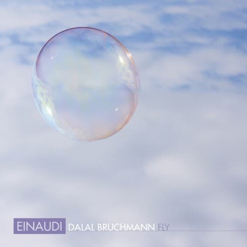 Fly cover art